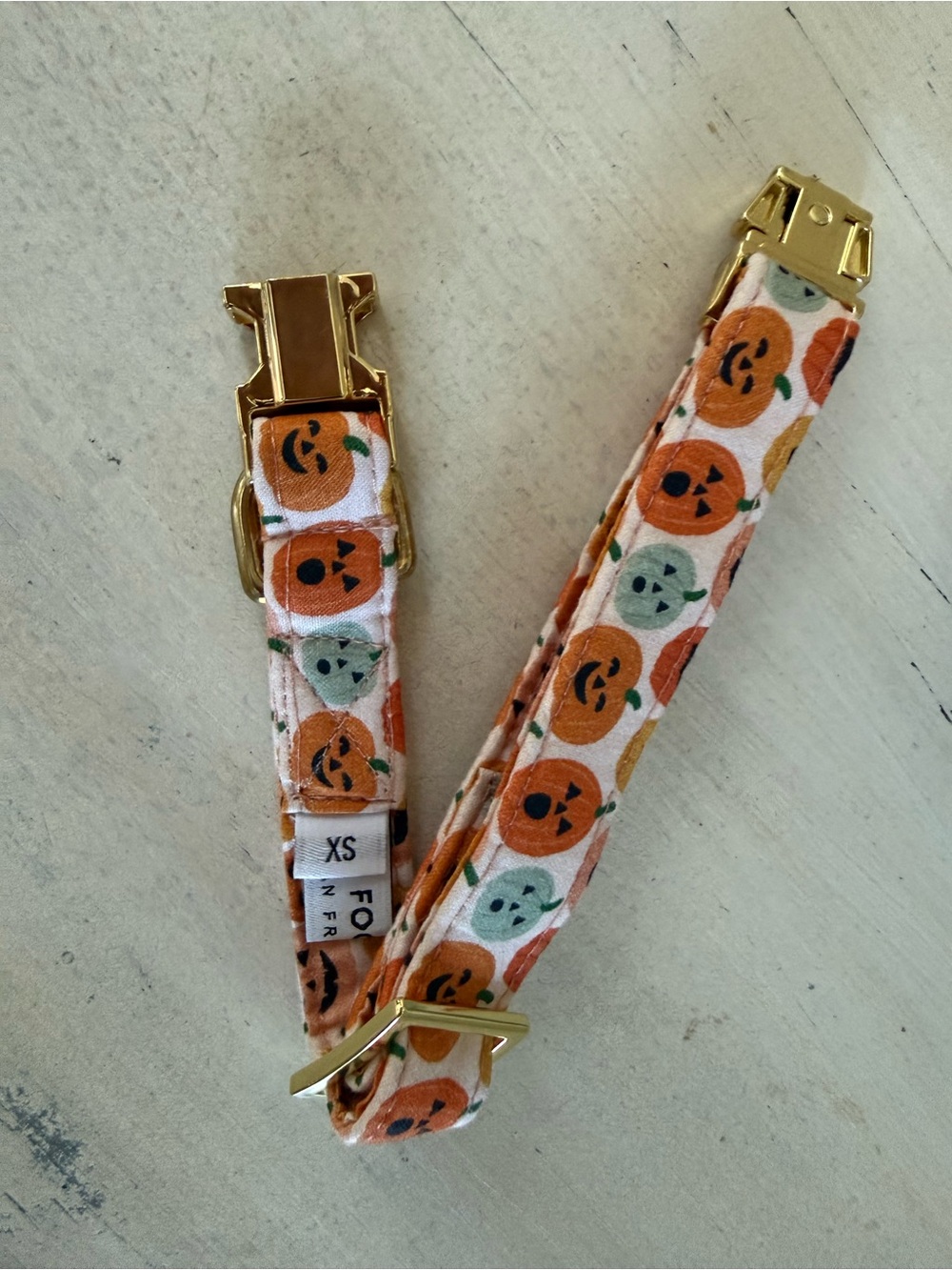 The Foggy Dog Pumpkin Print Adjustable Pet Collar - Orange & Cream Sz XS